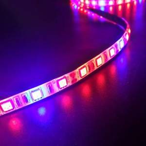 Bande lumineuse horticole à spectre complet 5M — LED 5050, 60 LED/m, étanche IP67, 22W