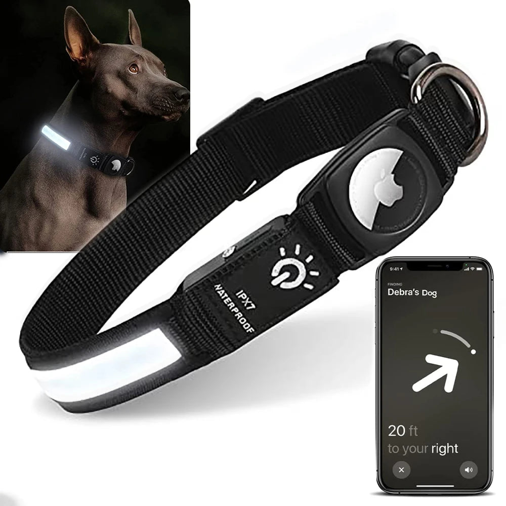 LED Dog Collar with AirTag Holder | Teckeleck UK