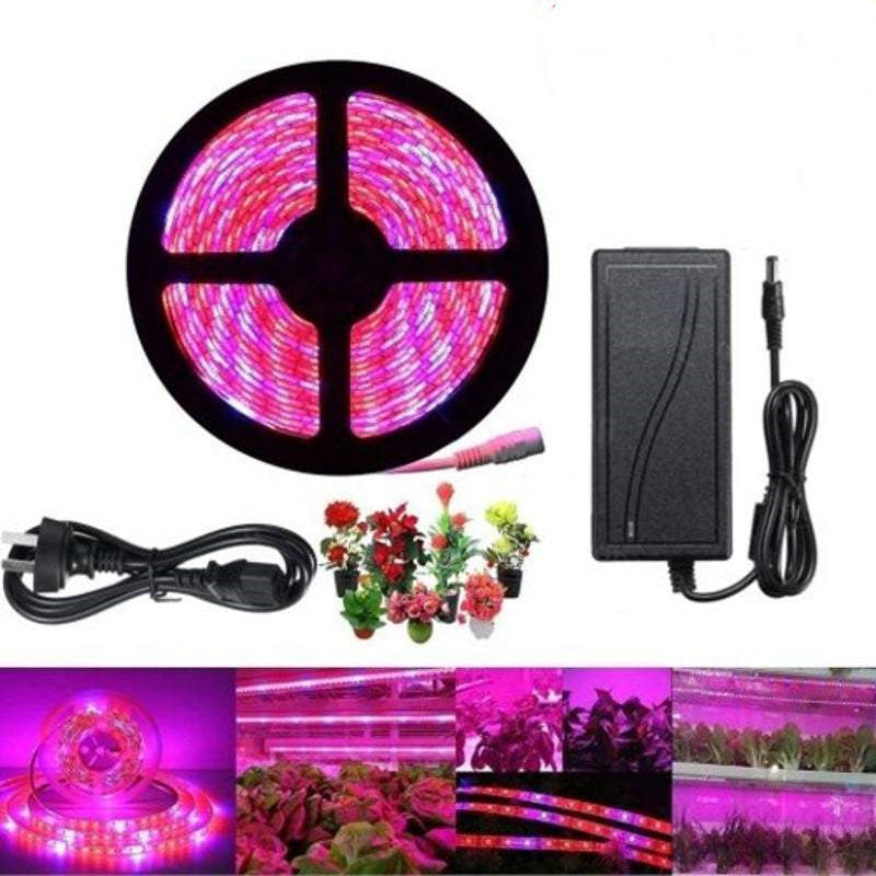 5M Vollspektrum-Pflanzenwachstumsstreifen — 5050 LED, 60 LEDs/m, IP67 wasserdicht, 22W