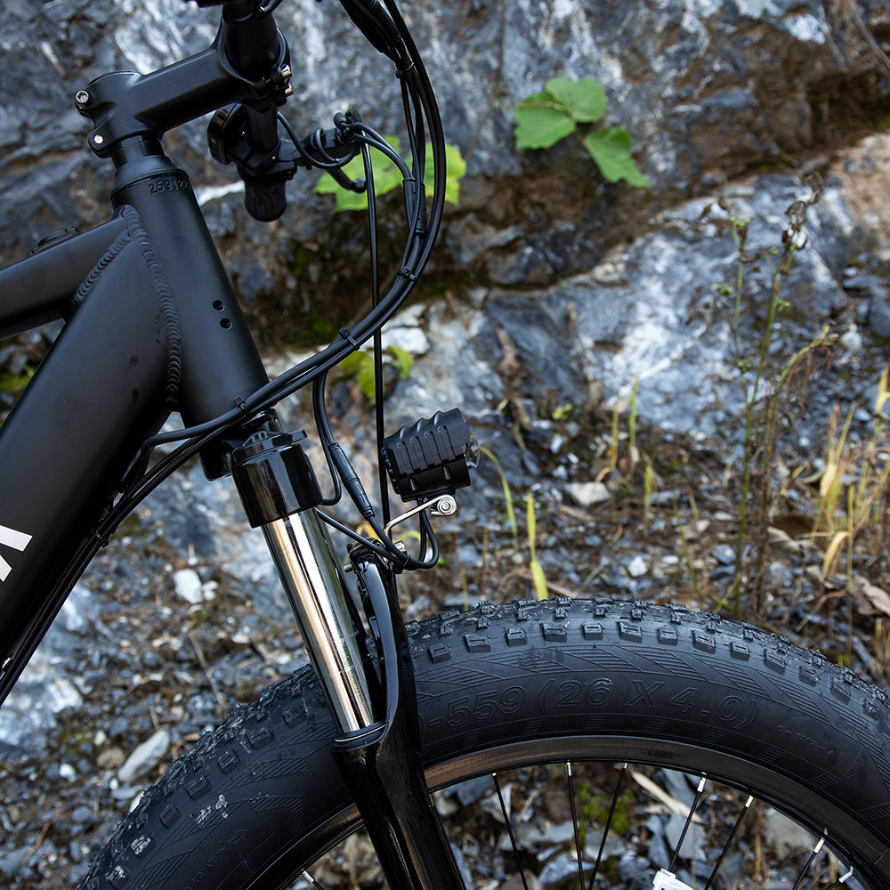 1000W Electric Bike — Fat Tire, 48V Battery