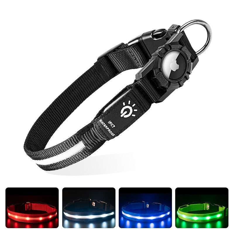 LED Dog Collar with AirTag Holder | Teckeleck UK