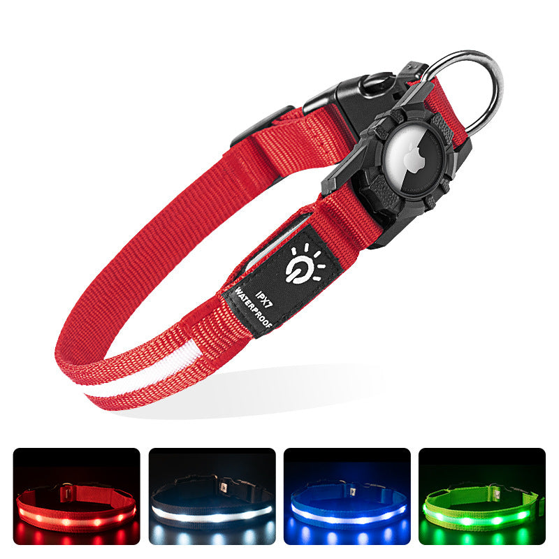 LED Dog Collar with AirTag Holder | Teckeleck UK