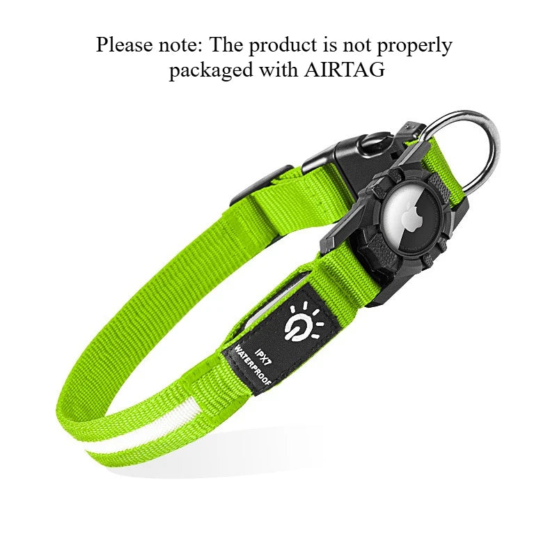 LED Dog Collar with AirTag Holder | Teckeleck UK