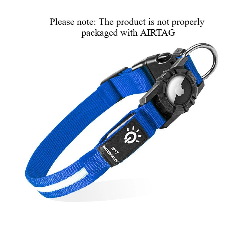LED Dog Collar with AirTag Holder | Teckeleck UK