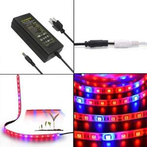 Bande lumineuse horticole à spectre complet 5M — LED 5050, 60 LED/m, étanche IP67, 22W