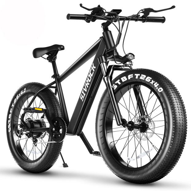 1000W Electric Bike — Fat Tire, 48V Battery