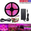 5M Vollspektrum-Pflanzenwachstumsstreifen — 5050 LED, 60 LEDs/m, IP67 wasserdicht, 22W