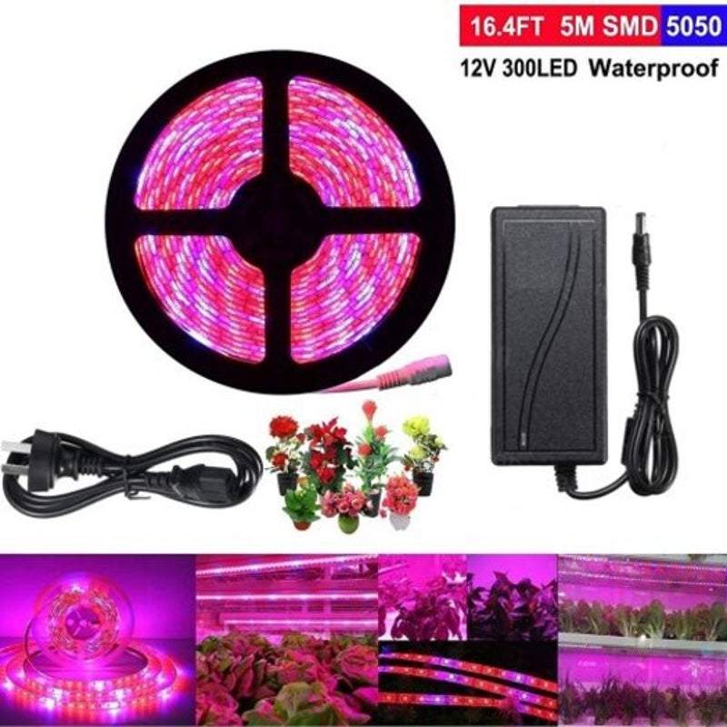 Bande lumineuse horticole à spectre complet 5M — LED 5050, 60 LED/m, étanche IP67, 22W