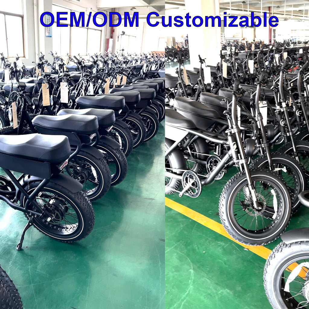 48V 750W E-Bike with Fat Tire Lightweight Aluminum Frame 7-Speed Lithium Battery Disc Brake System