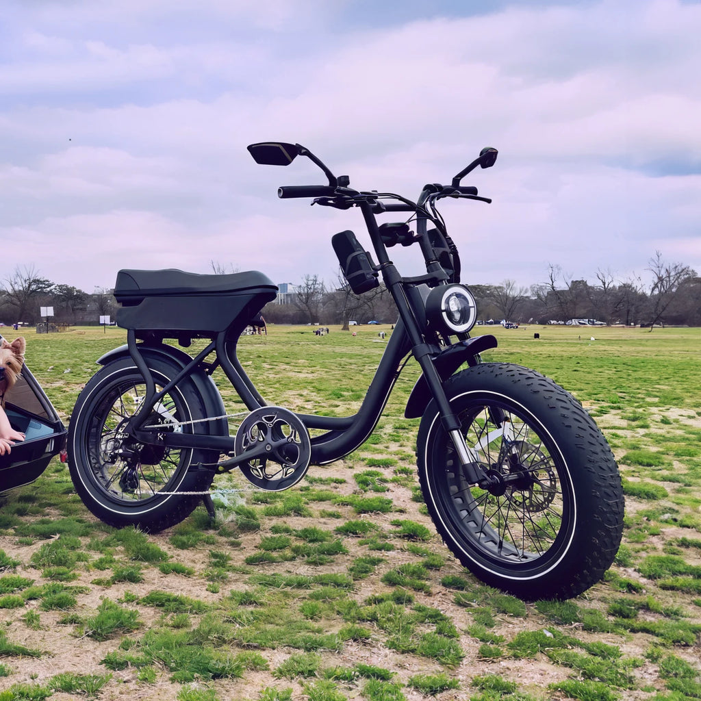750W Fat Tire E-Bike — Disc Brakes, 7-Speed
