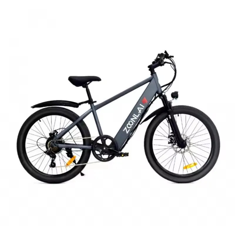 500W Electric Bike — 36V Battery, Urban Ride