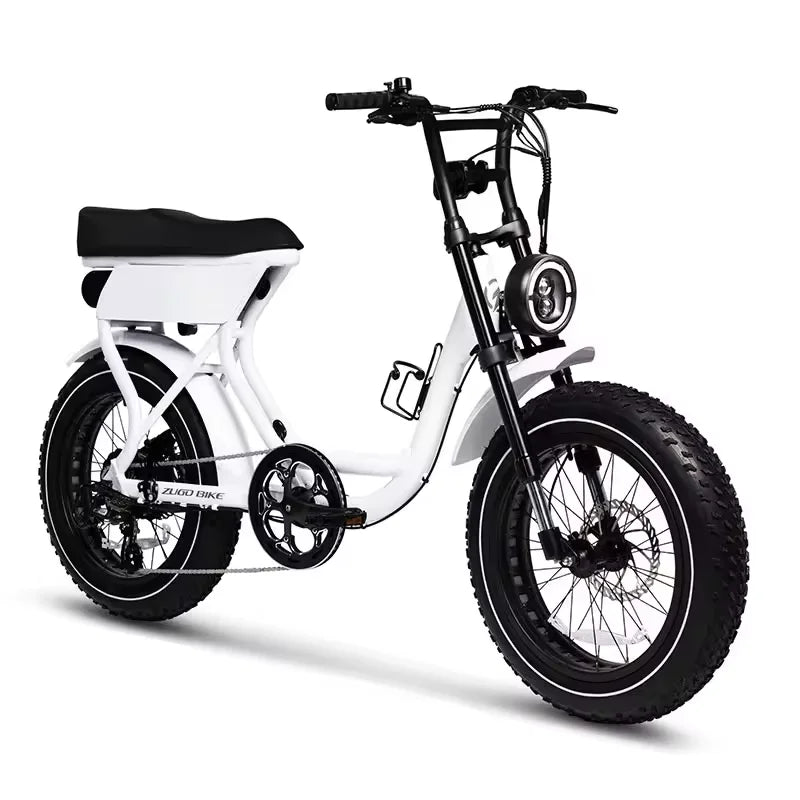 750W Fat Tire E-Bike — Disc Brakes, 7-Speed