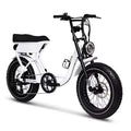 750W Fat Tire E-Bike — Disc Brakes, 7-Speed