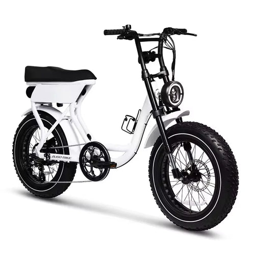 48V 750W E-Bike with Fat Tire Lightweight Aluminum Frame 7-Speed Lithium Battery Disc Brake System — available at Teckeleck