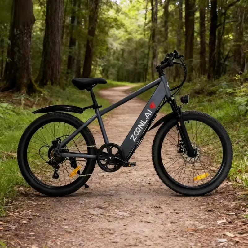 24" Electric Bike — 500W Motor, 36V Battery