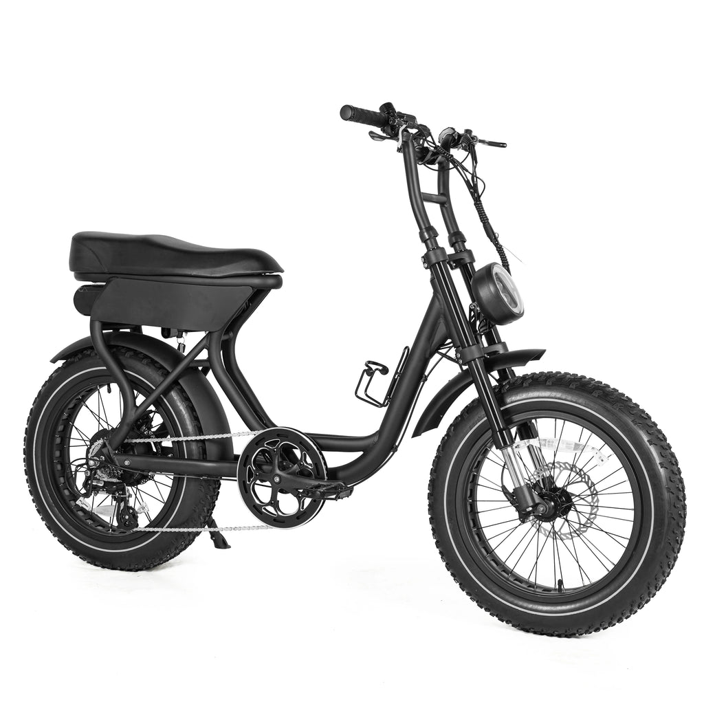 750W Fat Tire E-Bike — Disc Brakes, 7-Speed