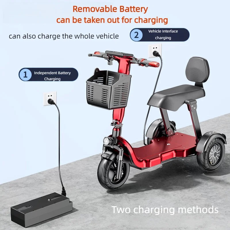 Family 3 Wheel Foldable Mobility Scooter For Seniors Anti-Theft Alarm 2 Seat Long Range 1000W Small Electric Tricycle Folding