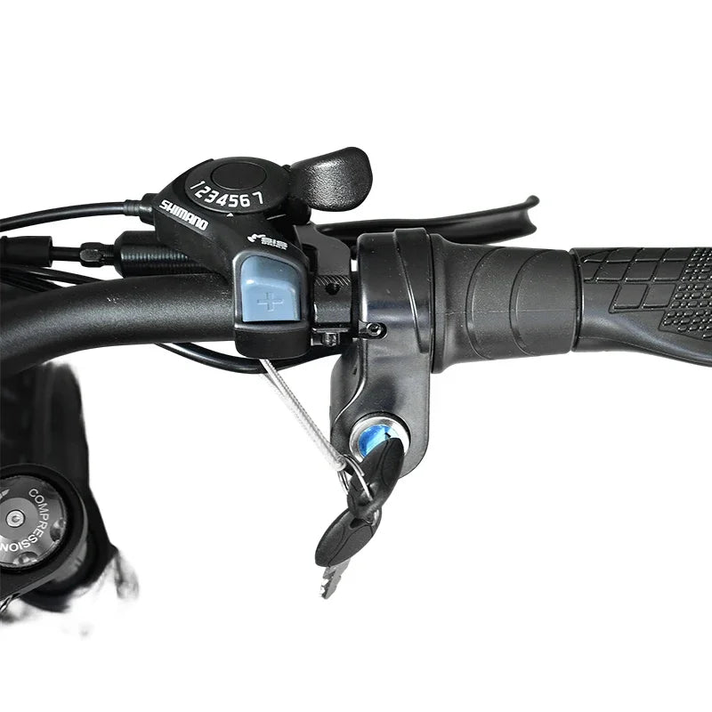 Electric Bicycle S8 — 3500W, Fat Tire, Disc Brakes
