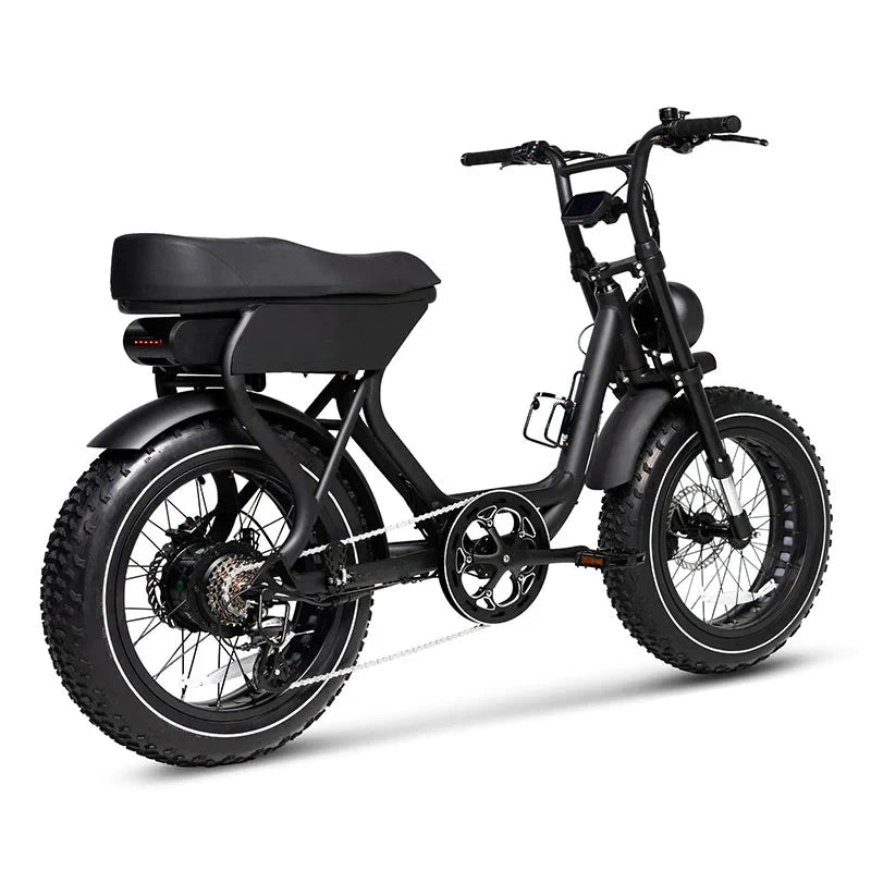 48V 750W E-Bike with Fat Tire Lightweight Aluminum Frame 7-Speed Lithium Battery Disc Brake System