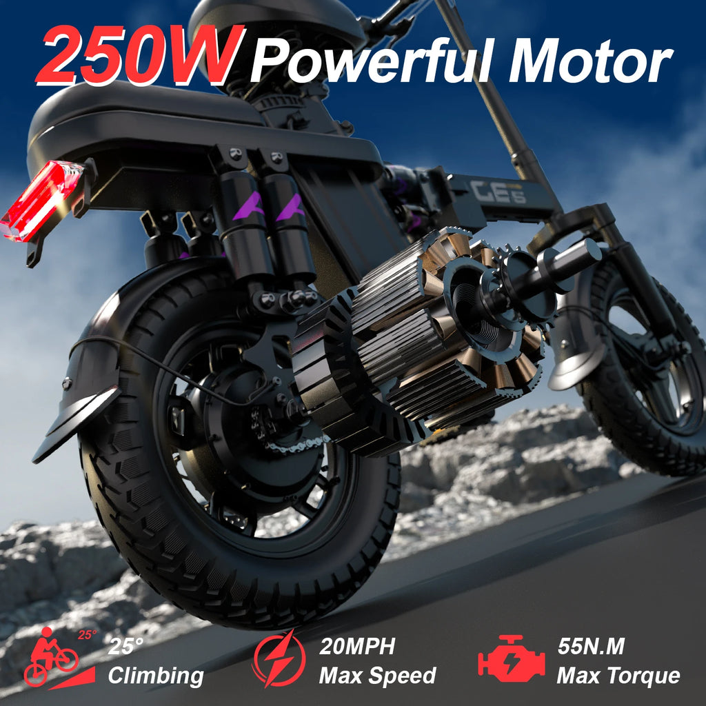 UPlee GE5 Adult E-bike 250W Men's/Women's folding ebike 48V 15AH battery City ebike Electric Bike
