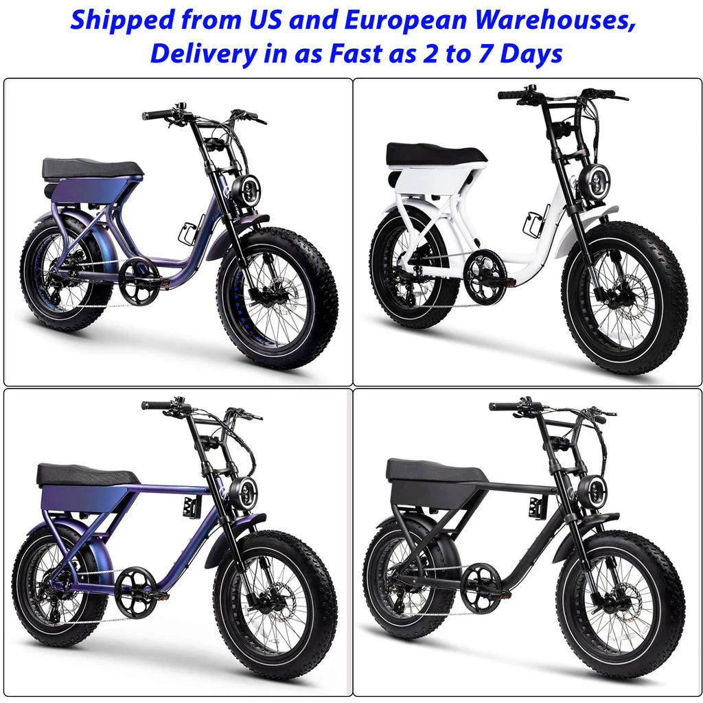 48V 750W E-Bike with Fat Tire Lightweight Aluminum Frame 7-Speed Lithium Battery Disc Brake System
