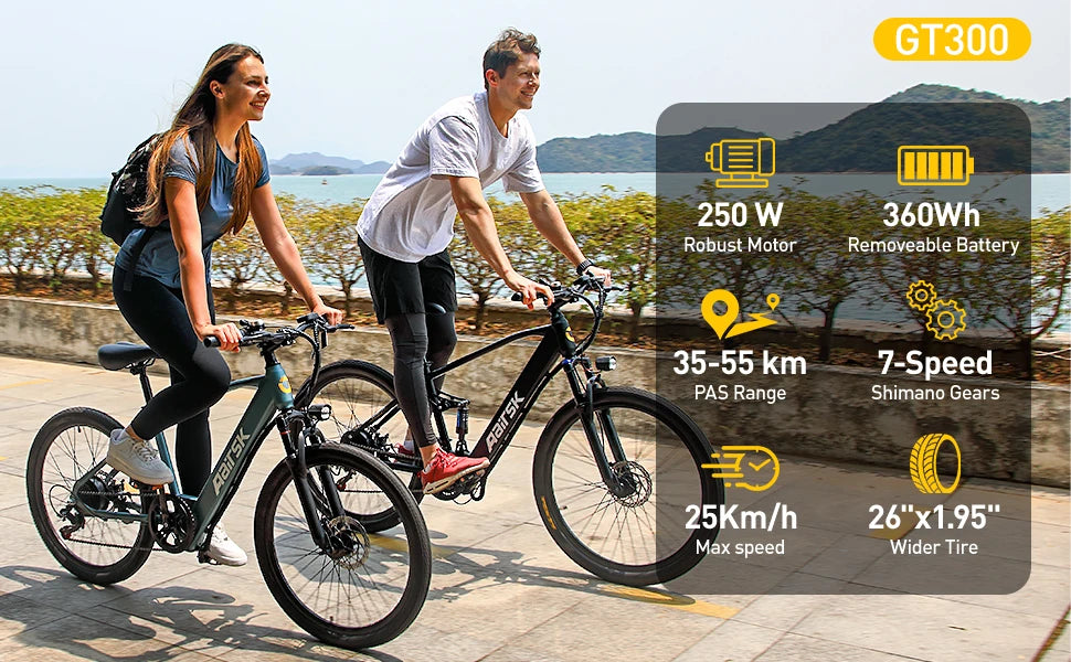 Aairsk GT300 Adult E-bike 250W Motor 36V 10Ah Battery Electric Bike 26 Inch Fat Tire E-Mountain bike Off-road Electric bicycle