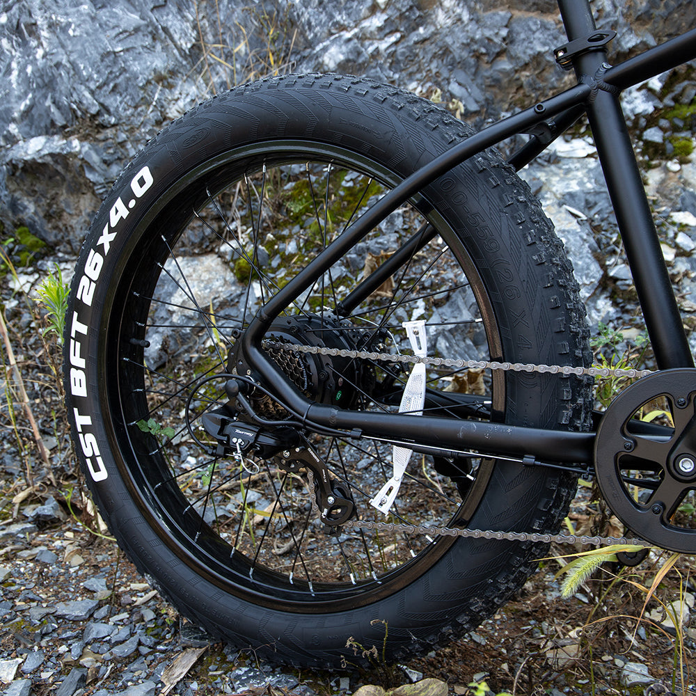 Professionelles E-Bike für Erwachsene, 26 x 4,0 Zoll Fat Tire E-Mountainbike, 1000 W Motor 48 V 15 Ah E-Bike für Trail-Fahrten, Ausflüge und Pendeln, UL- und GCC-zertifiziert